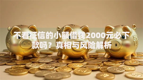 不看征信的小额借钱2000元必下款吗？真相与风险解析
