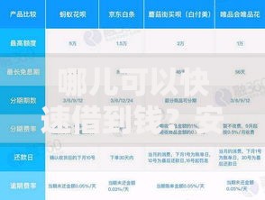 哪儿可以快速借到钱？安全借款渠道深度解析