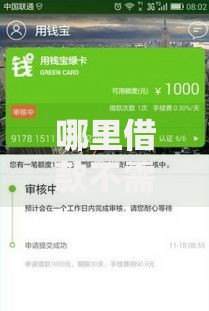 哪里借款不需要审核立即放款？快速到账平台解析