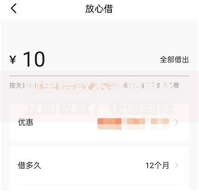 哪里借款不需要审核立即放款？快速到账平台解析