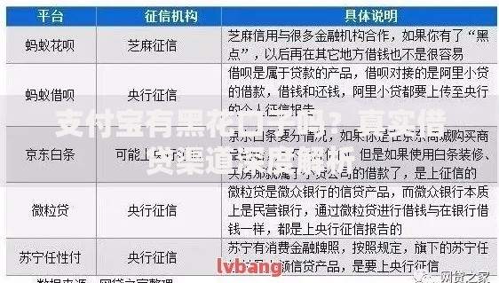 支付宝有黑花口子吗？真实借贷渠道深度解析