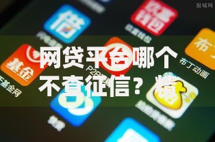 网贷平台哪个不查征信？精选低门槛借贷渠道解析