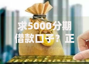 求5000分期借款口子？正规渠道解析及避坑指南