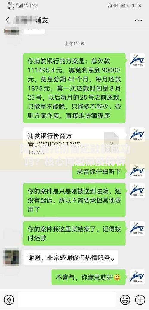 网上委托协商还款能成功吗？核心问题深度解析