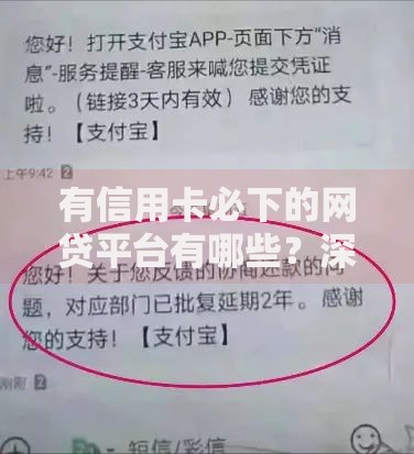 有信用卡必下的网贷平台有哪些？深度解析正规渠道及申请技巧