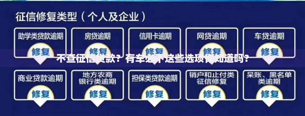 不查征信贷款？有车必下这些选项你知道吗？