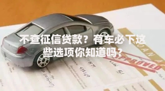 不查征信贷款？有车必下这些选项你知道吗？