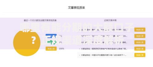 哪里有能分期的大额口子？正规渠道深度解析