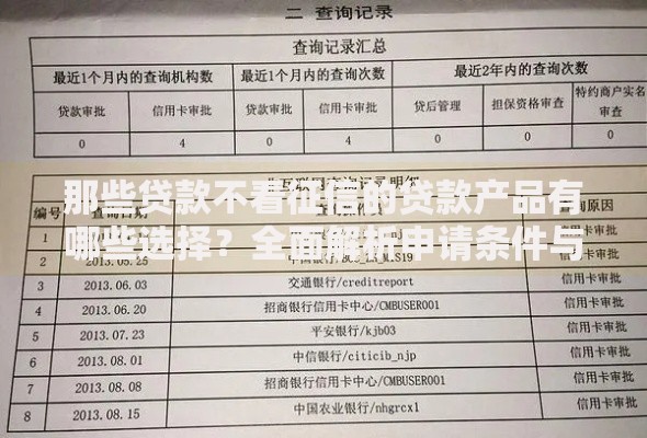 那些贷款不看征信的贷款产品有哪些选择？全面解析申请条件与风险