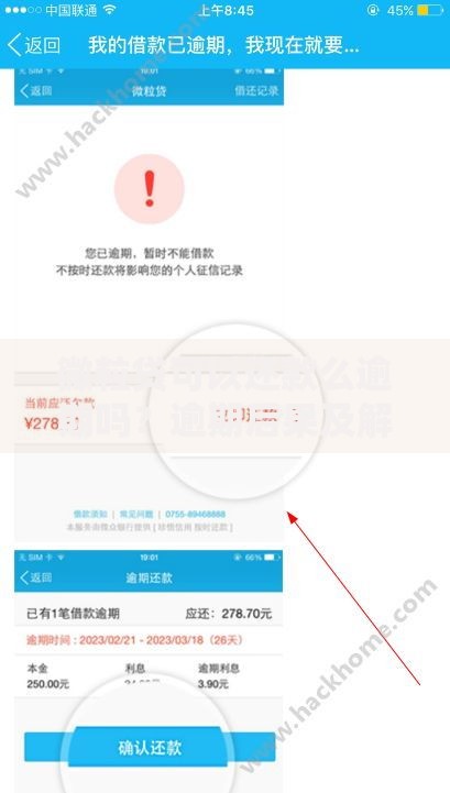 微粒贷可以还款么逾期吗？逾期后果及解决办法详解