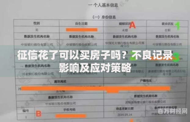 征信花了可以买房子吗？不良记录影响及应对策略