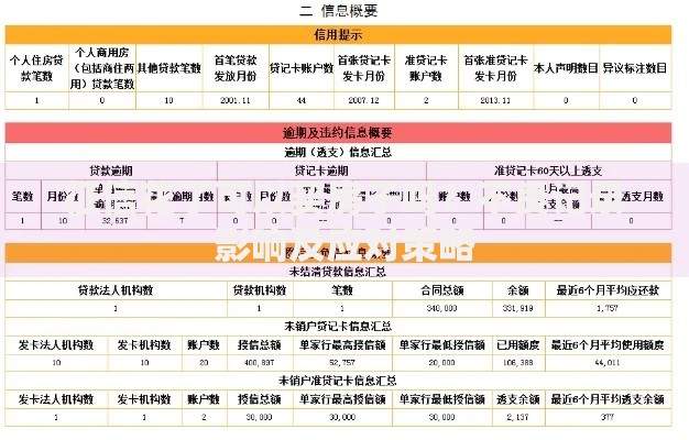 征信花了可以买房子吗？不良记录影响及应对策略