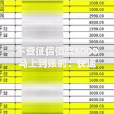 不查征信借款5000马上到账的：快速借款渠道与注意事项