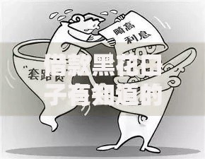 借款黑花口子有知道的那些风险与应对策略