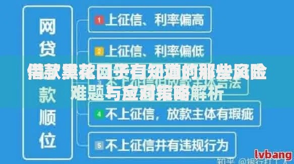 借款黑花口子有知道的那些风险与应对策略