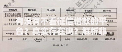 有没有不看征信借款的平台？真实存在吗？解析非征信贷款途径与风险