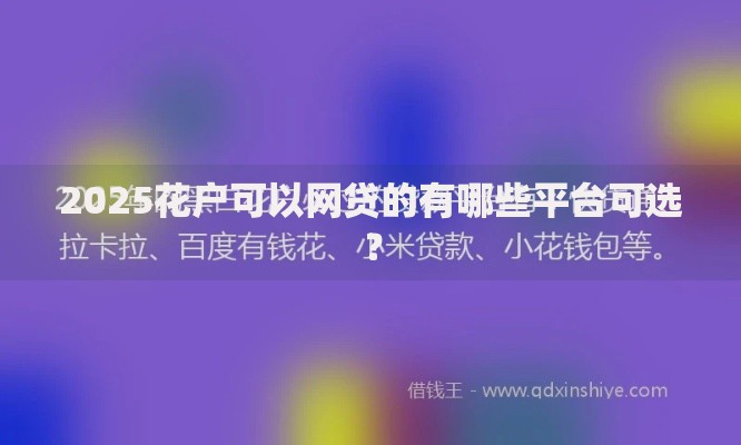 2025花户可以网贷的有哪些平台可选？