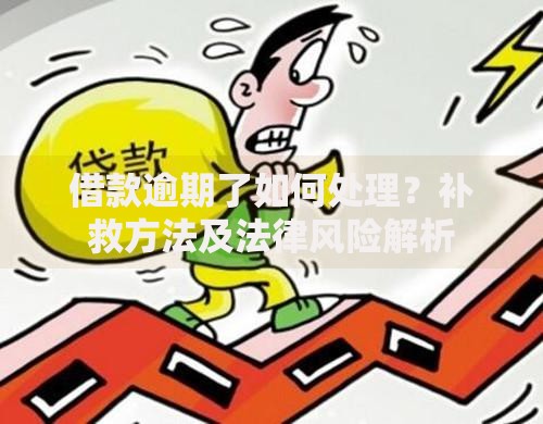 借款逾期了如何处理？补救方法及法律风险解析
