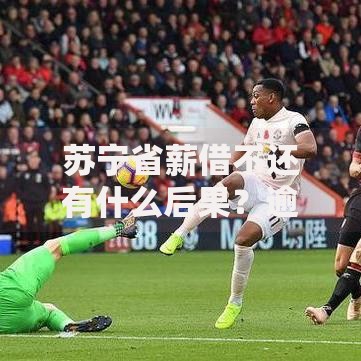 苏宁省薪借不还有什么后果？逾期影响与应对策略