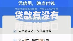 贷款有没有所谓的暗口子？揭秘非正规借贷渠道风险