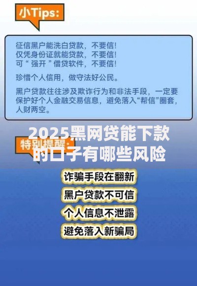 2025黑网贷能下款的口子有哪些风险与应对策略？