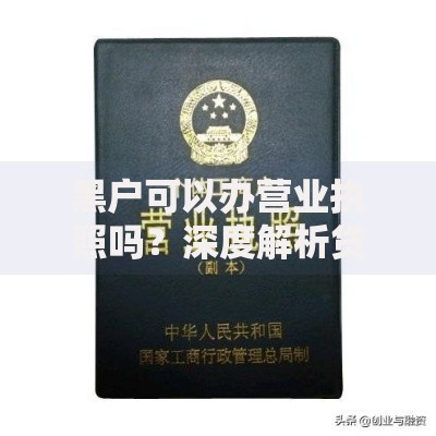 黑户可以办营业执照吗？深度解析贷款与经营资质关联