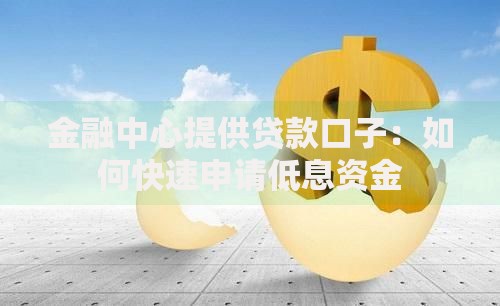 金融中心提供贷款口子：如何快速申请低息资金