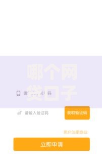 哪个网贷口子最好下款快？高通过率平台推荐