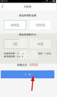 可以快速下款小贷如何选择？正规平台与申请流程全解析