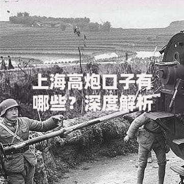 上海高炮口子有哪些？深度解析借贷渠道与风险防范