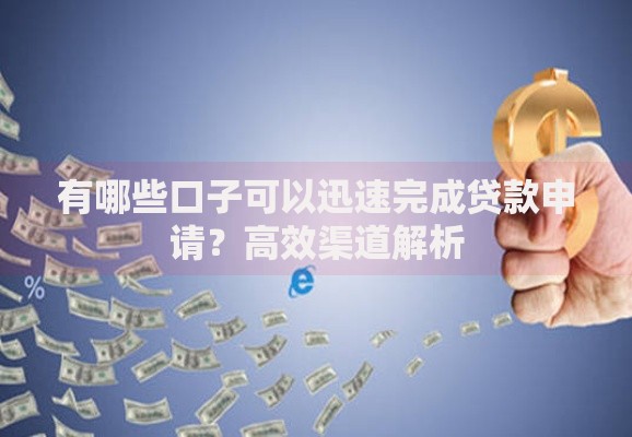 有哪些口子可以迅速完成贷款申请？高效渠道解析