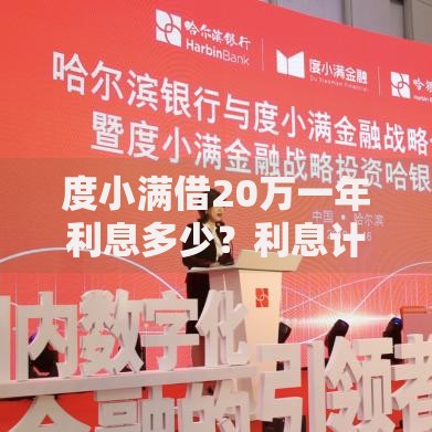 度小满借20万一年利息多少？利息计算与还款解析