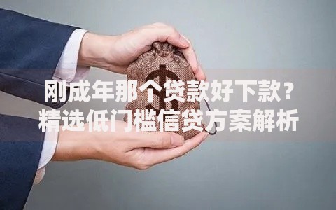 刚成年那个贷款好下款？精选低门槛信贷方案解析
