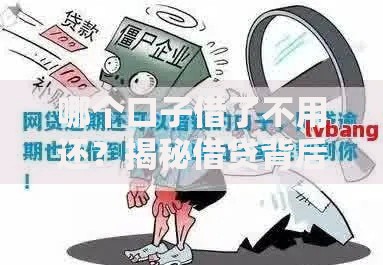 哪个口子借了不用还？揭秘借贷背后的法律真相