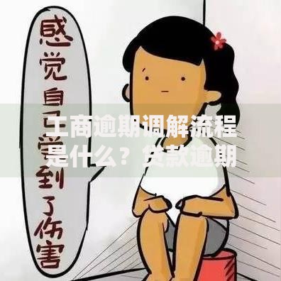工商逾期调解流程是什么？贷款逾期处理全解析
