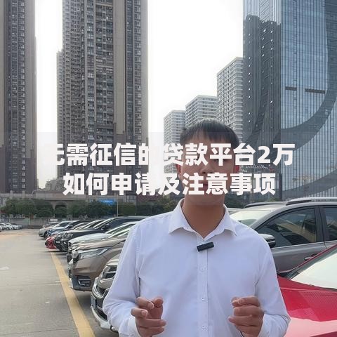 无需征信的贷款平台2万如何申请及注意事项