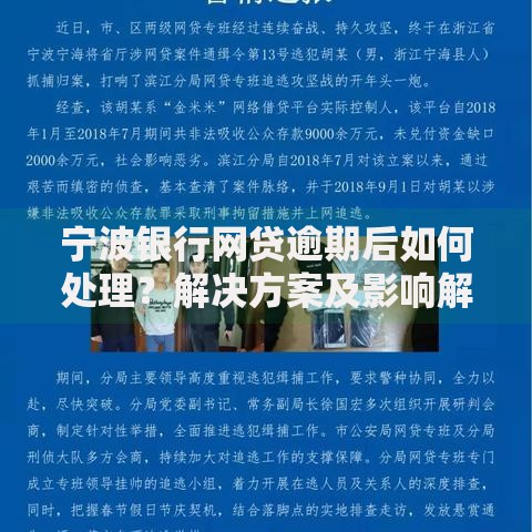 宁波银行网贷逾期后如何处理？解决方案及影响解析