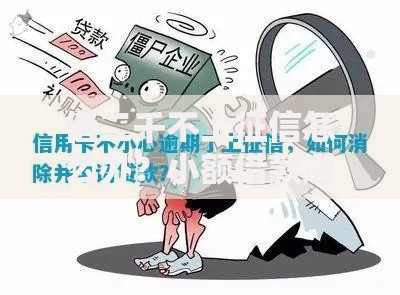 借二千不上征信怎么办？小额借款避坑指南
