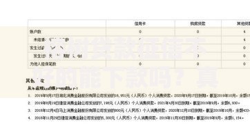 榕树贷款征信不好的能下款吗？真实审核机制解析