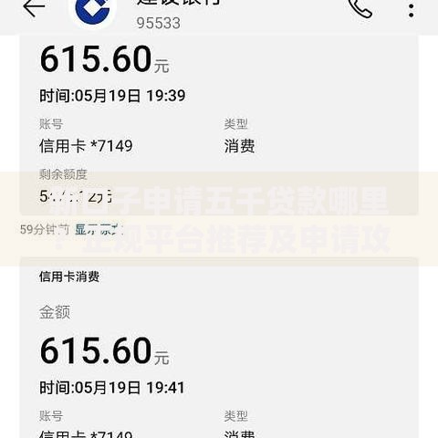 新口子申请五千贷款哪里？正规平台推荐及申请攻略