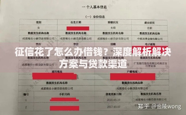 征信花了怎么办借钱？深度解析解决方案与贷款渠道