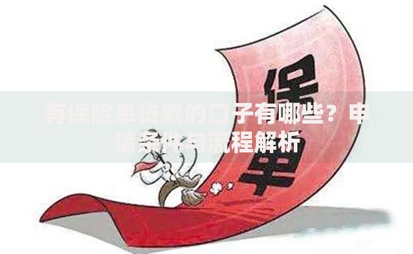 有保险单贷款的口子有哪些？申请条件与流程解析