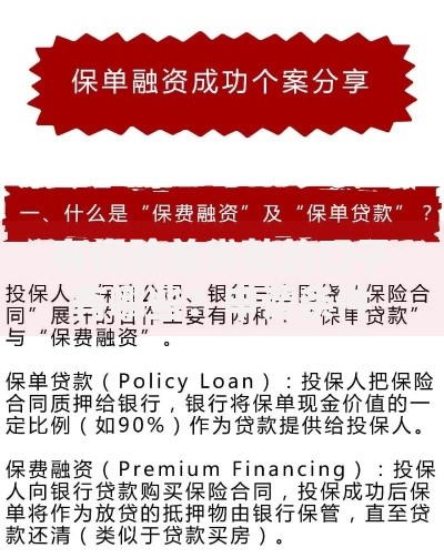 有保险单贷款的口子有哪些？申请条件与流程解析
