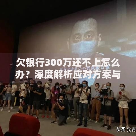 欠银行300万还不上怎么办？深度解析应对方案与法律风险
