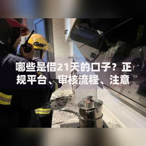 哪些是借21天的口子？正规平台、审核流程、注意事项全解析