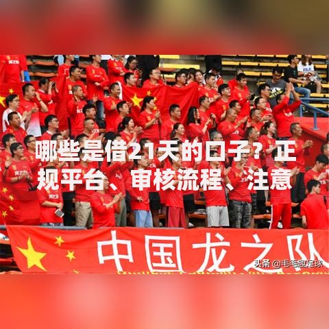哪些是借21天的口子？正规平台、审核流程、注意事项全解析