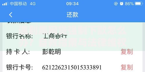 遇到黑网贷强制下款怎么办？自救指南与法律维权解析
