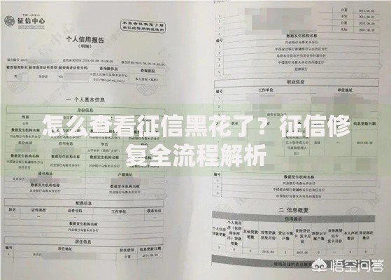 怎么查看征信黑花了？征信修复全流程解析