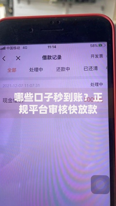 哪些口子秒到账？正规平台审核快放款稳