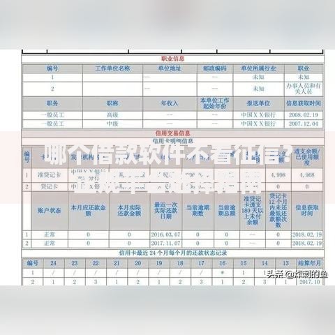 哪个借款软件不看征信？正规平台选择指南